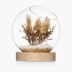 3/$30 Bouclair Terrarium Dried